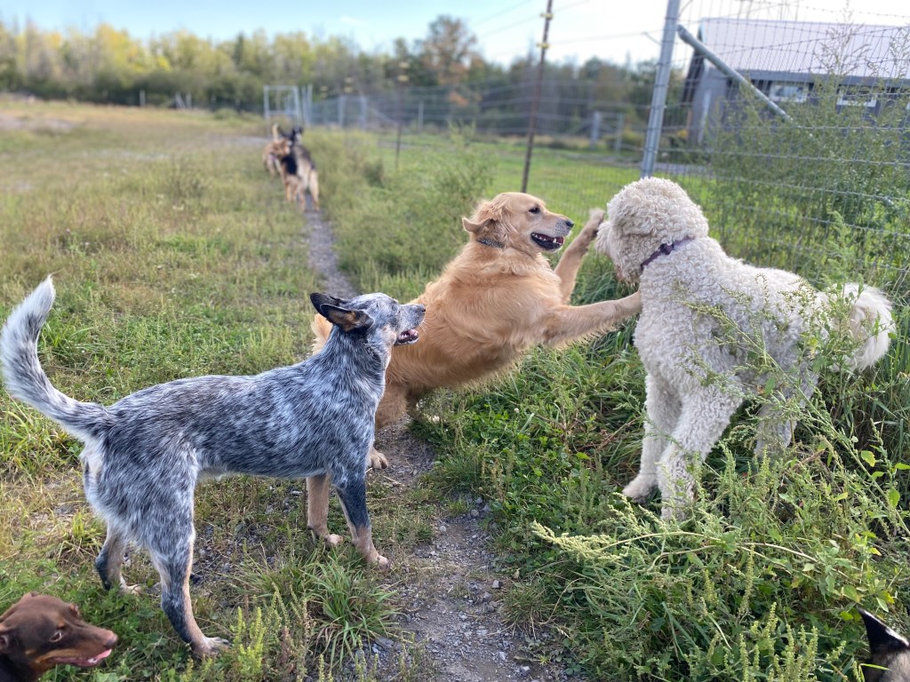 Join our Team! Get outside and play!